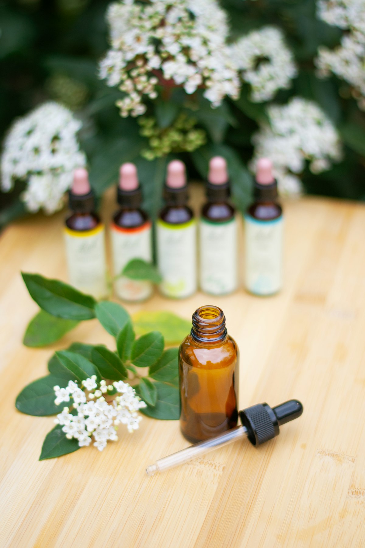 Herbal Tinctures